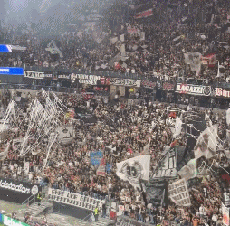 hs, cx, bdbf hs, cx, bdbf